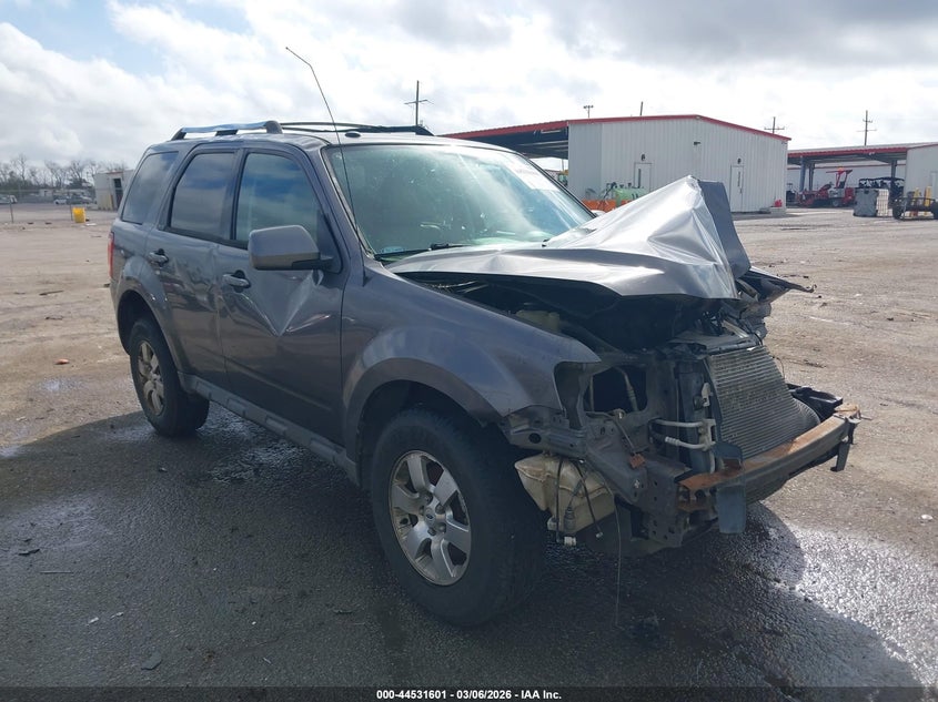 2010 Ford Escape Limited
