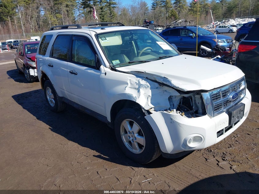 2011 Ford Escape Xlt