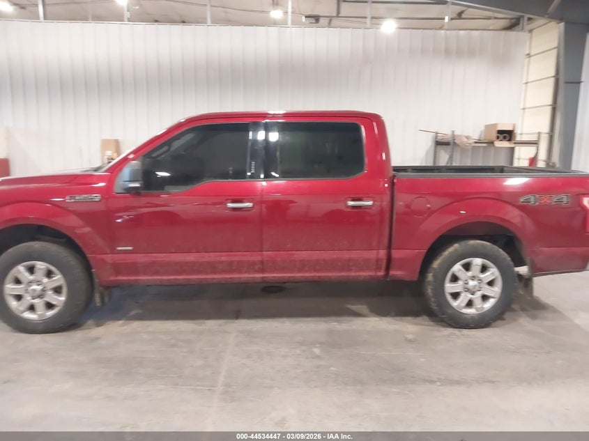 2017 Ford F-150 Xlt VIN: 1FTEW1EG2HFA53954 Lot: 44534447