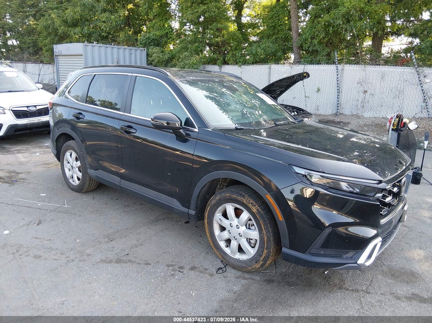 2024 HONDA CR-V auction photo 1