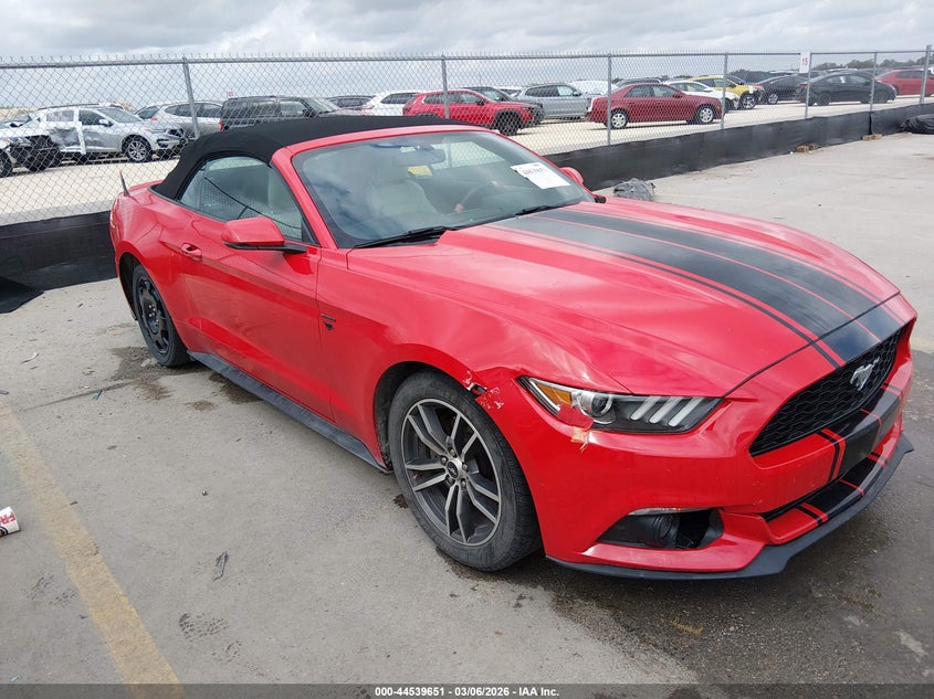 1FATP8UHXH5313259 FORD MUSTANG Photo 1