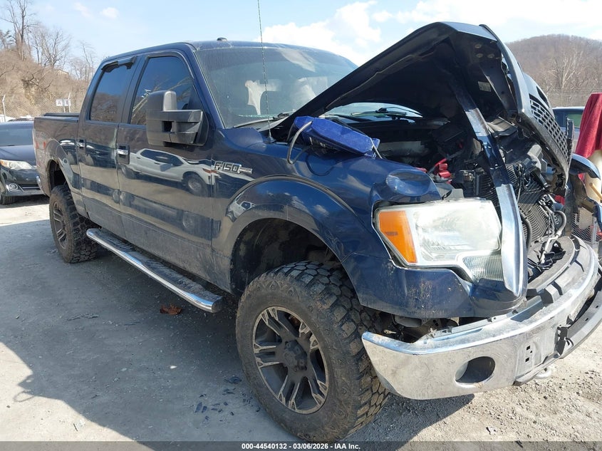 2013 Ford F-150 Fx4/King Ranch/Lariat/Platinum/Xl/Xlt