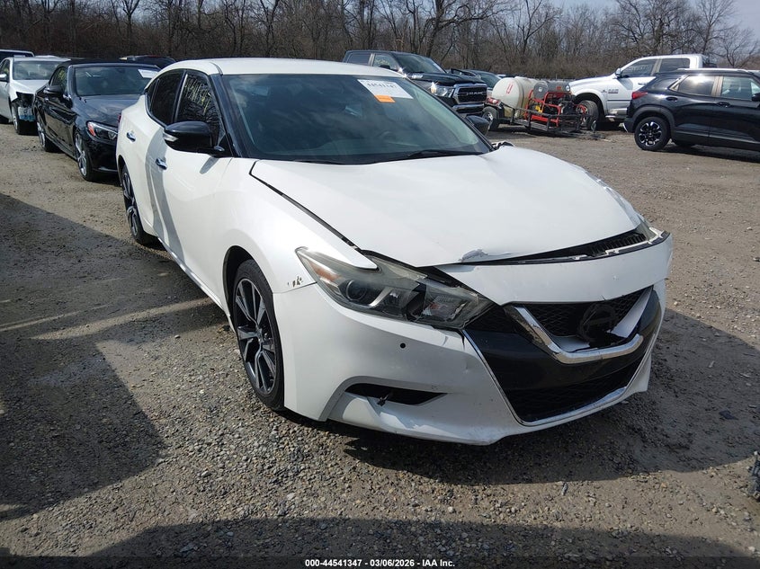 1N4AA6AP7GC443924 NISSAN MAXIMA Photo 1