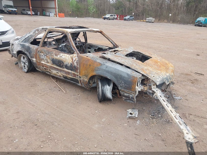 1FABP42E1KF123526 FORD MUSTANG Photo 1