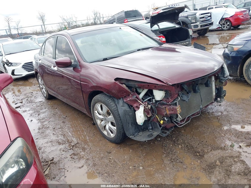 2010 Honda Accord 2.4 Ex-L