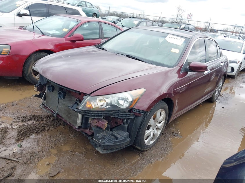 2010 Honda Accord 2.4 Ex-L