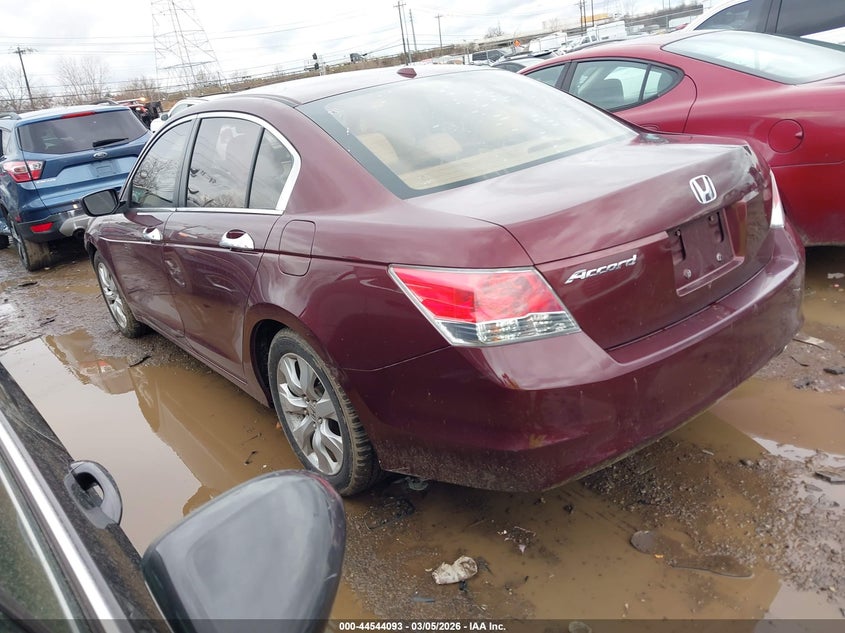 2010 Honda Accord 2.4 Ex-L