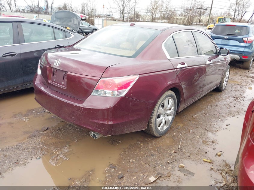 2010 Honda Accord 2.4 Ex-L