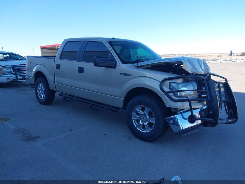 2010 Ford F-150 Fx4/Harley-Davidson/King Ranch/Lariat/Platinum/Xl/Xlt