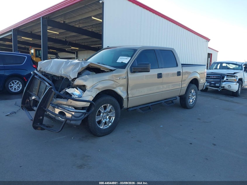 2010 Ford F-150 Fx4/Harley-Davidson/King Ranch/Lariat/Platinum/Xl/Xlt