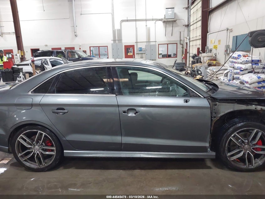 2017 Audi S3 2.0T Premium Plus VIN: WAUB1GFF2H1036141 Lot: 44545478
