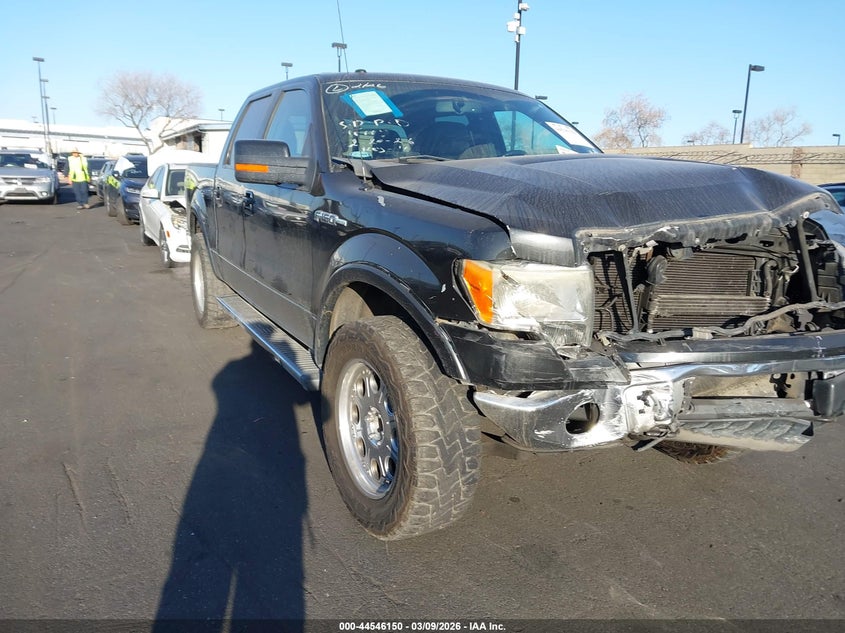 2010 Ford F-150 Fx4/Harley-Davidson/King Ranch/Lariat/Platinum/Xl/Xlt