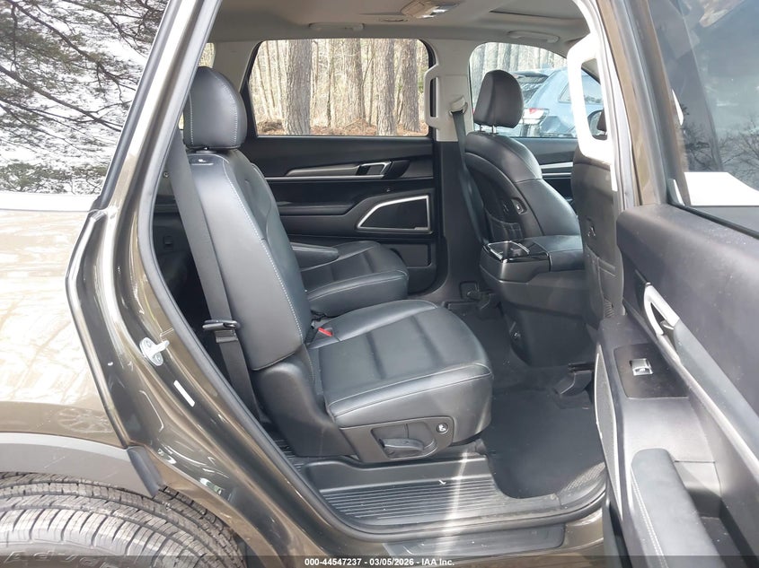 2020 Kia Telluride S VIN: 5XYP6DHC2LG065787 Lot: 44547237