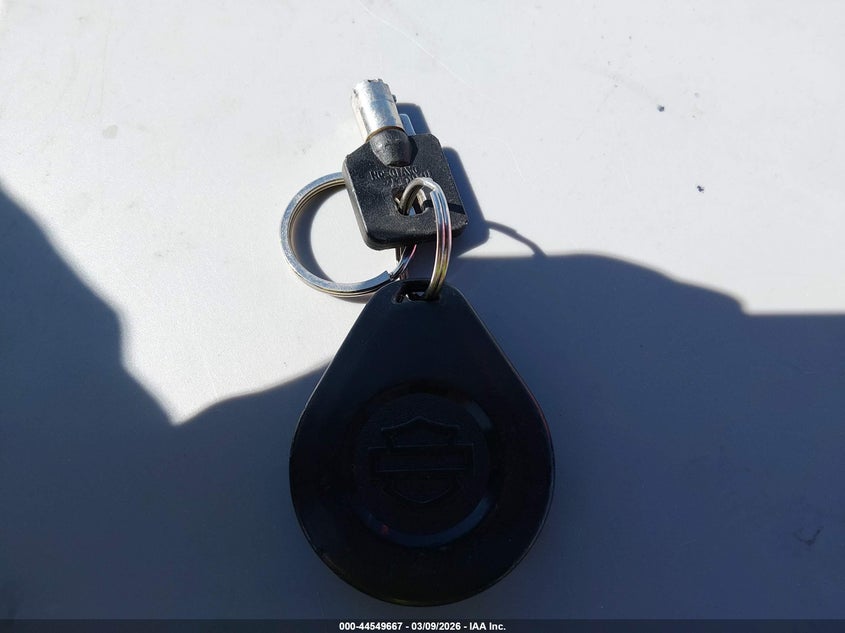 2019 Harley-Davidson Flht VIN: 1HD1FVC23KB652355 Lot: 44549667