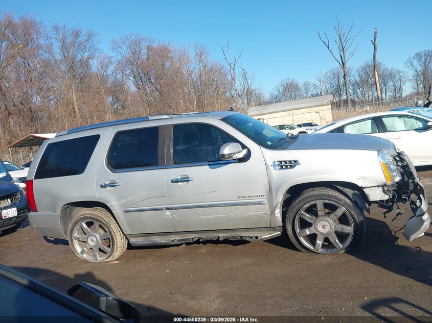 2010 Cadillac Escalade Luxury VIN: 1GYUKBEF0AR197490 Lot: 44550239