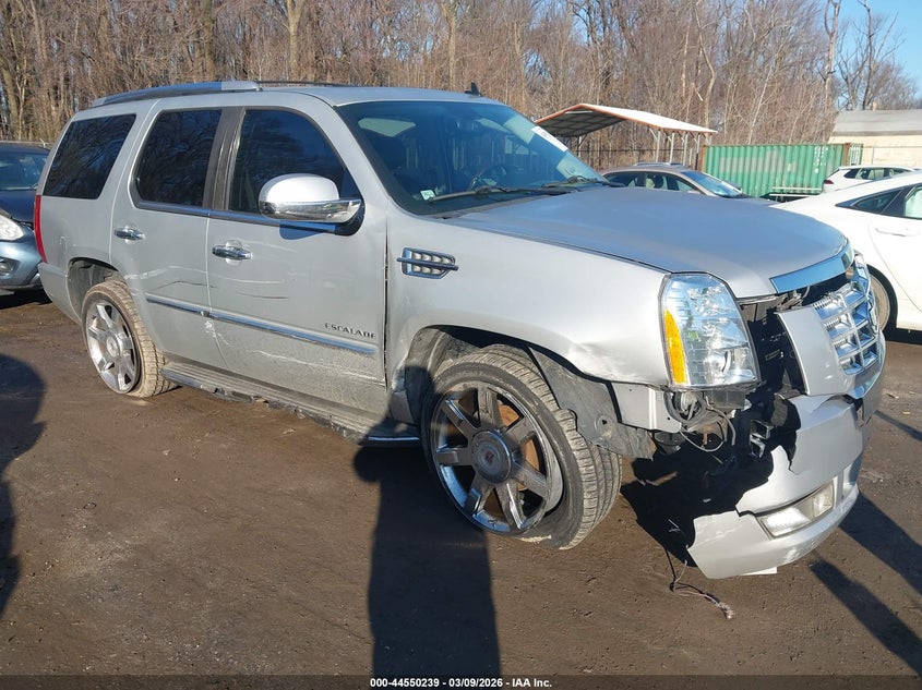 2010 Cadillac Escalade Luxury