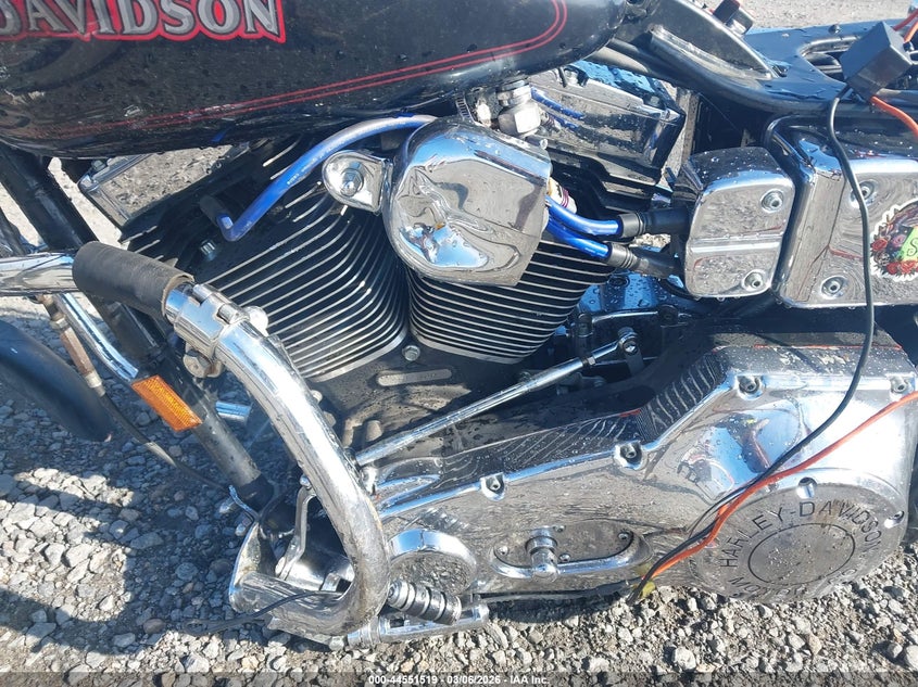 1999 Harley-Davidson Fxdl VIN: 1HD1GDV16XY313119 Lot: 44551519