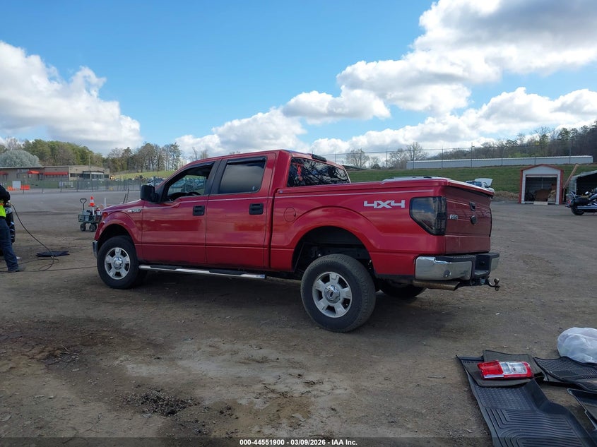 2010 Ford F-150 Xl/Xlt