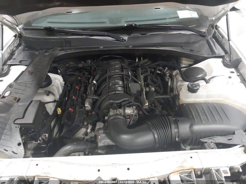 Nuotrauka 10