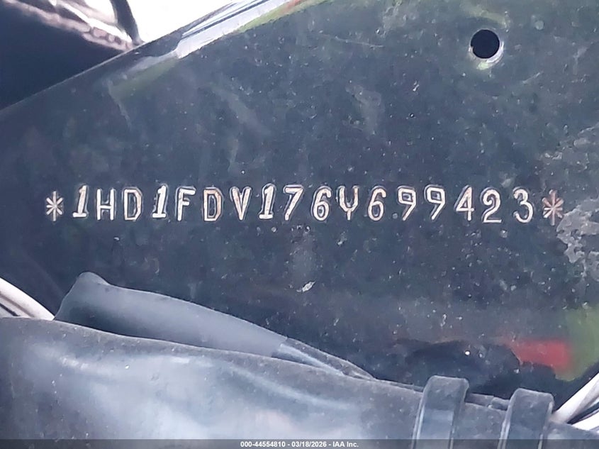 2006 Harley-Davidson Flhr VIN: 1HD1FDV176Y699423 Lot: 44554810