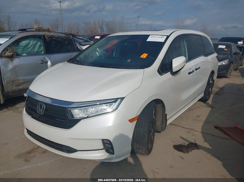 2021 Honda Odyssey Elite