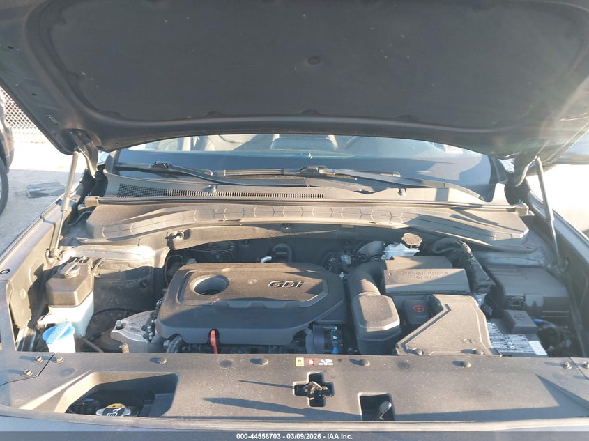 2020 Hyundai Santa Fe Sel VIN: 5NMS33ADXLH267945 Lot: 44558703