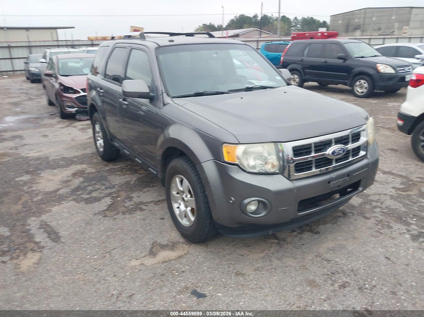 2010 FORD ESCAPE LIMITED