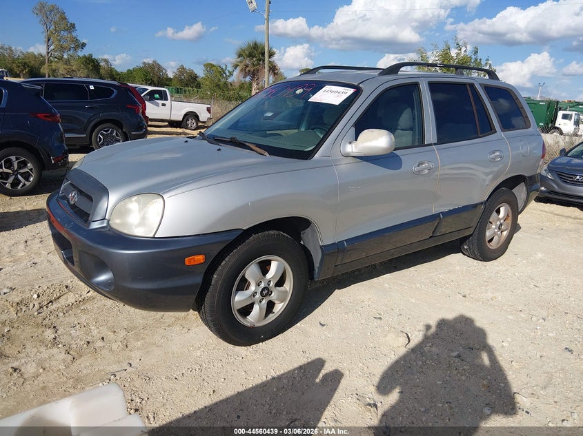 2005 Hyundai Santa Fe Gls/Lx