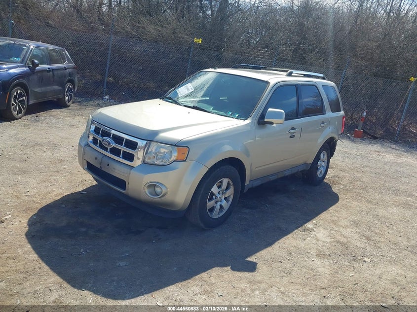 2010 Ford Escape Limited