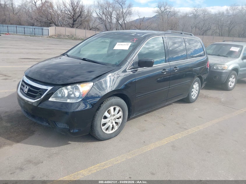 2010 Honda Odyssey Ex-L
