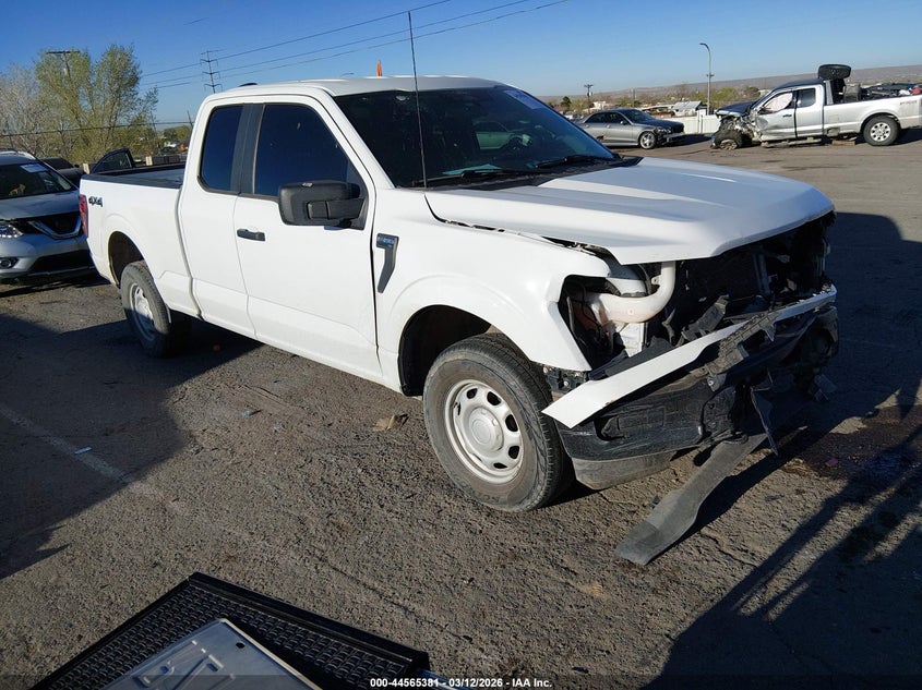 2024 FORD F-150 XL