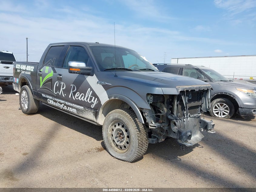 2009 Ford F-150 Fx4/King Ranch/Lariat/Platinum/Xl/Xlt