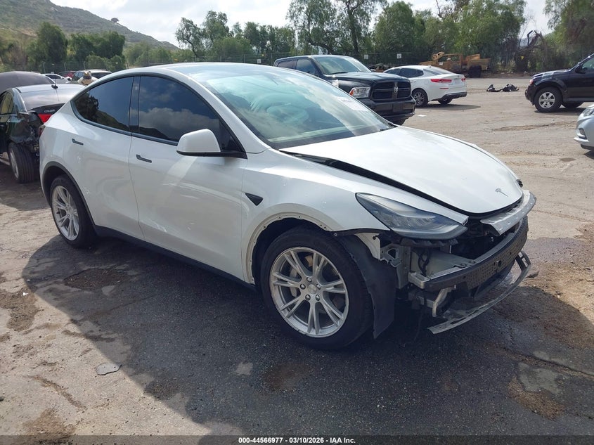 2021 TESLA MODEL Y auction photo 1