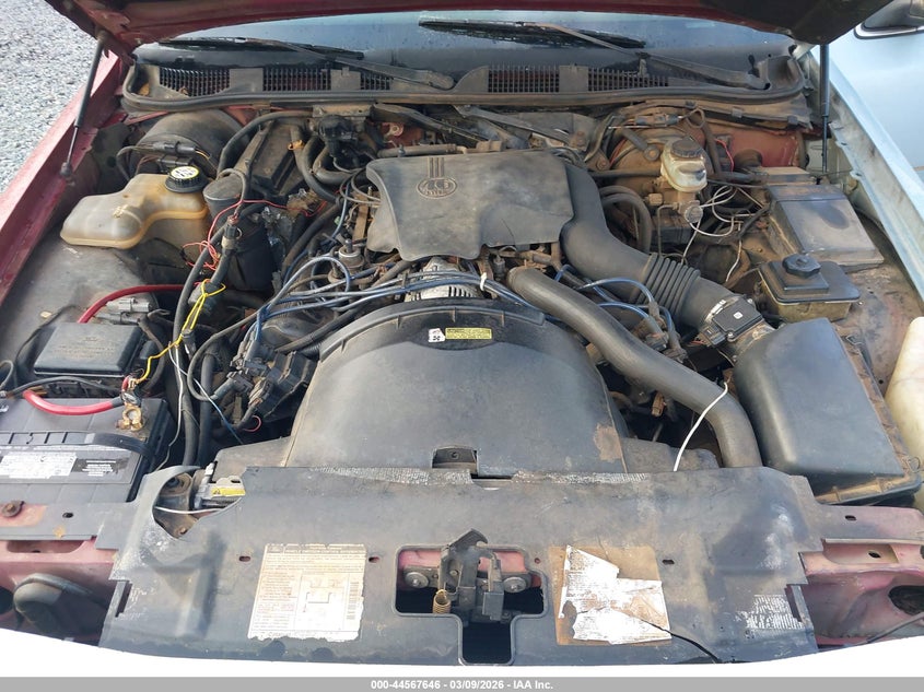 1996 Ford Crown Victoria Lx VIN: 2FALP74WXTX183533 Lot: 44567646