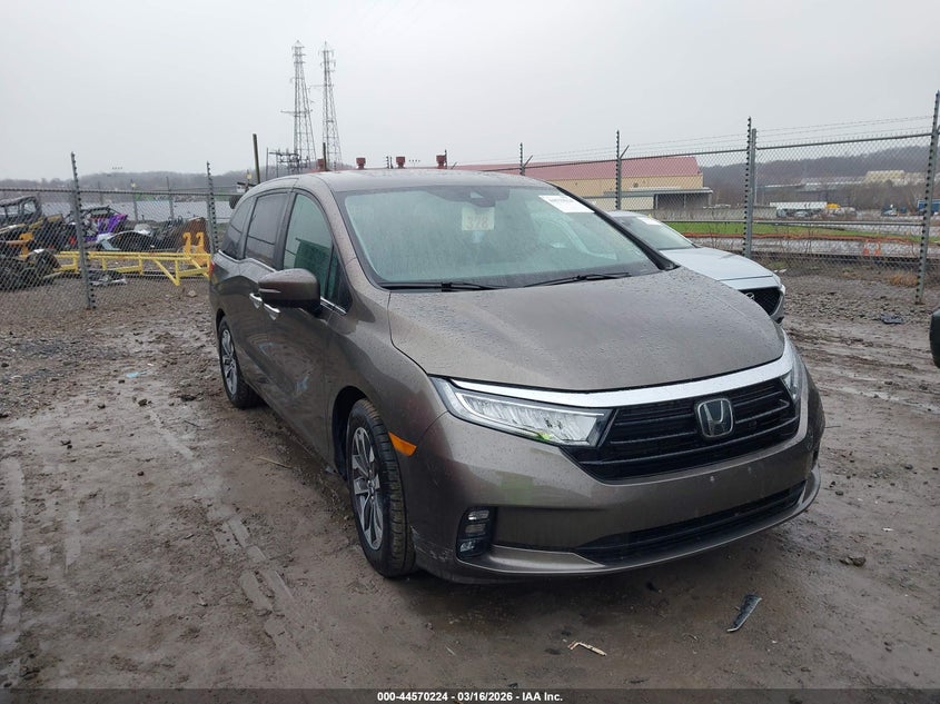 2023 Honda Odyssey Ex-L