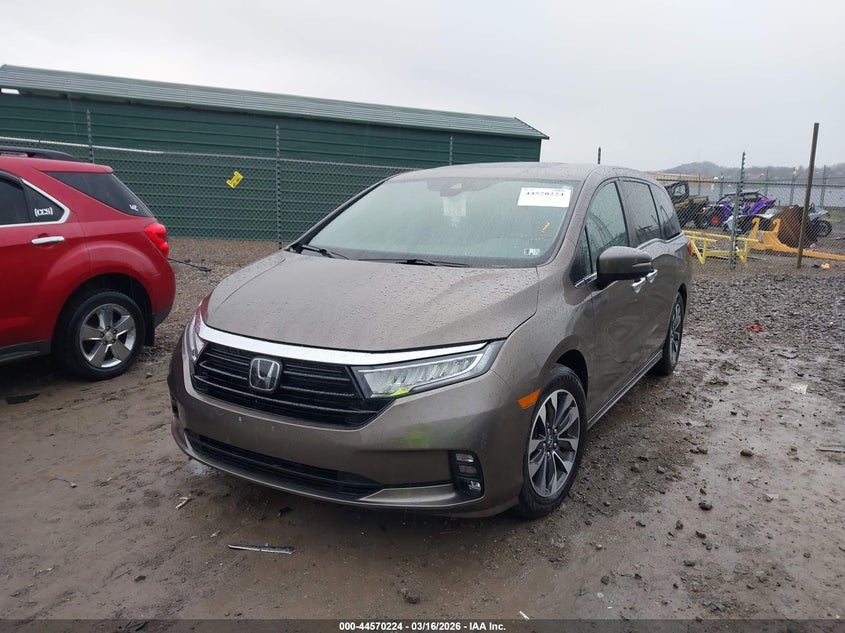 2023 Honda Odyssey Ex-L