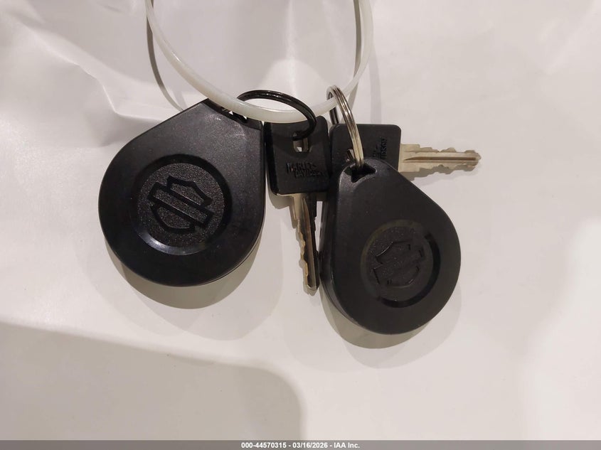 2022 Harley-Davidson Xl883 N VIN: 1HD4LE217NB414446 Lot: 44570315