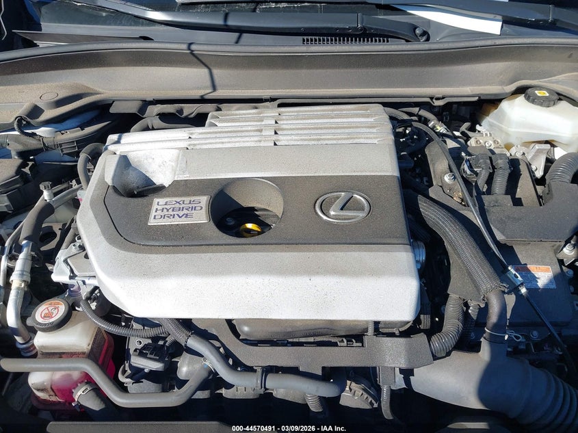 2021 Lexus Ux 250H VIN: JTHP9JBH4M2041379 Lot: 44570491