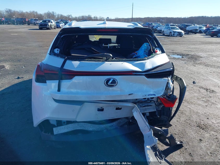 2021 Lexus Ux 250H VIN: JTHP9JBH4M2041379 Lot: 44570491