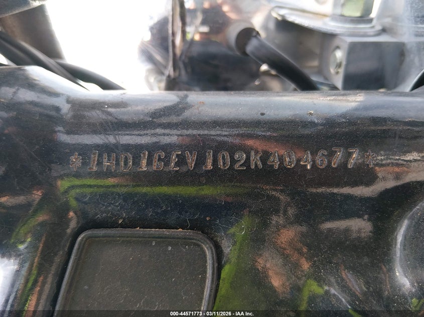 2002 Harley-Davidson Fxdwg VIN: 1HD1GEV102K404677 Lot: 44571773