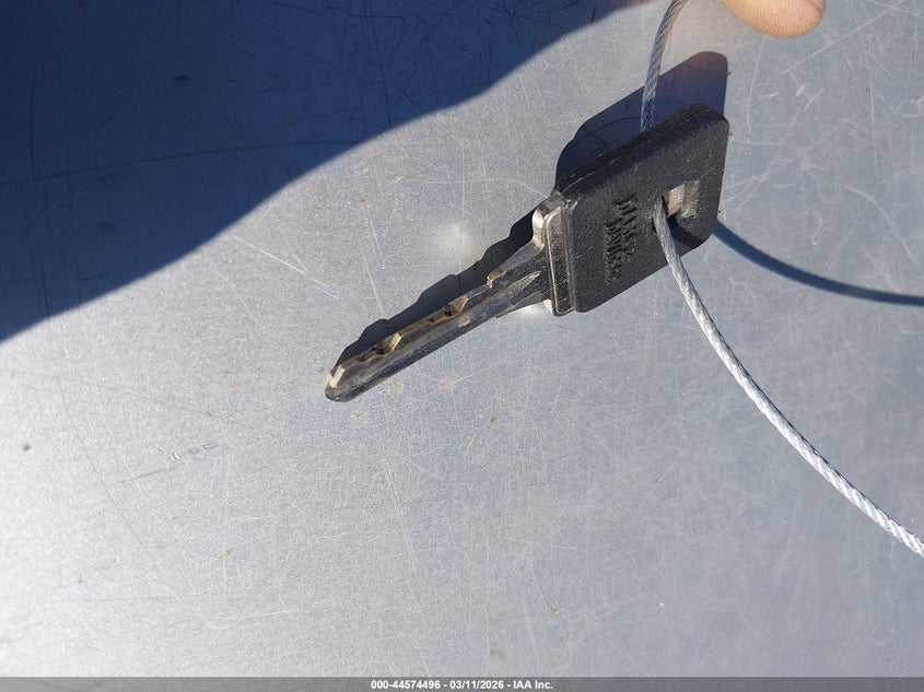 2020 Harley-Davidson Xl883 N VIN: 1HD4LE216LB423491 Lot: 44574496