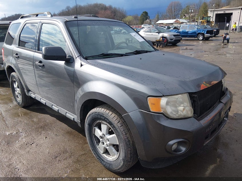 2010 Ford Escape Xlt