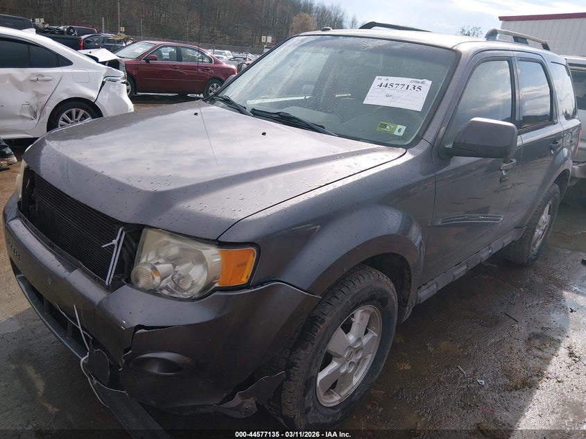 2010 Ford Escape Xlt