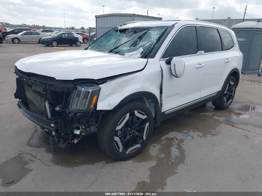 VIN 5XYP34GCXRG495604 2024 KIA TELLURIDE EX