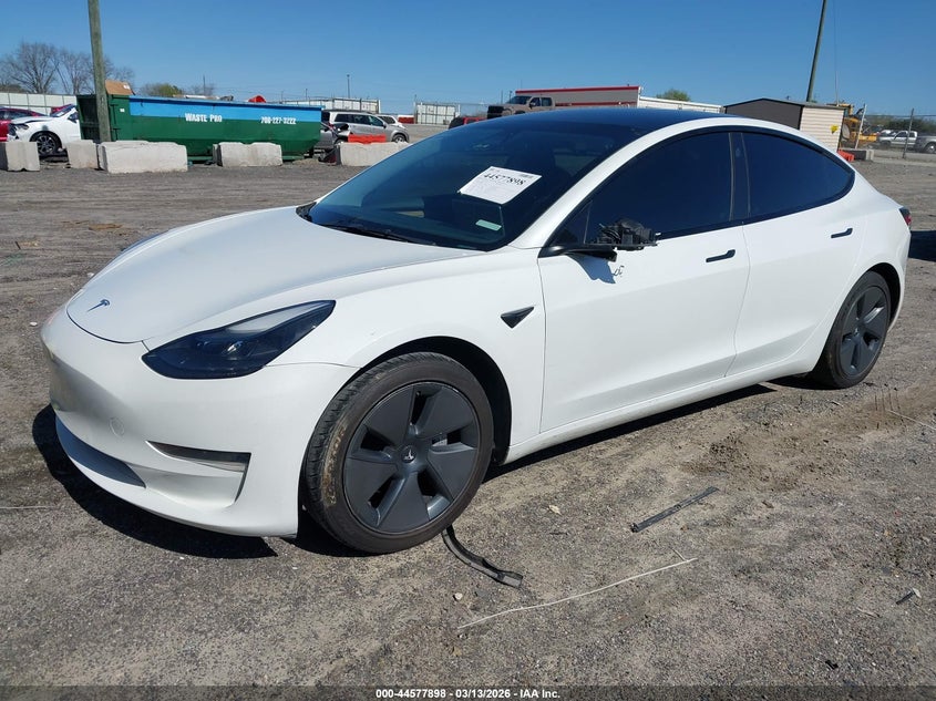 2023 Tesla Model 3 Rear-Wheel Drive