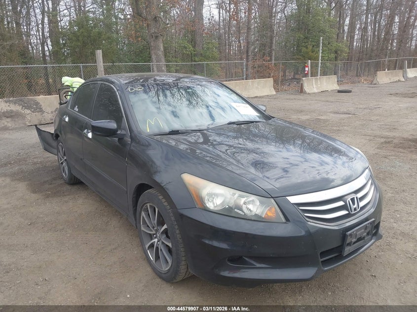 2011 Honda Accord 3.5 Ex-L