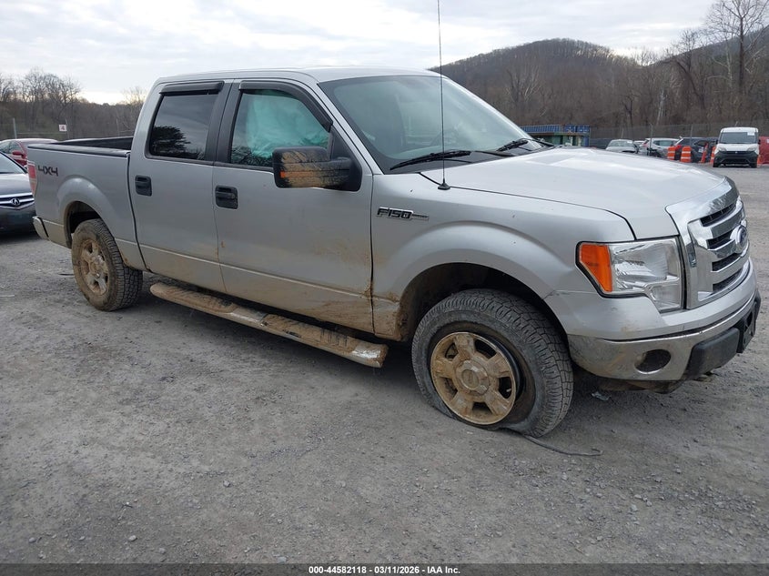 2011 Ford F-150 Xlt