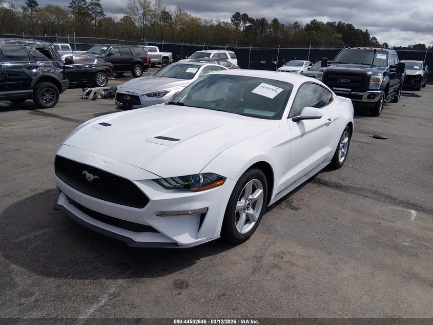 2019 Ford Mustang Ecoboost