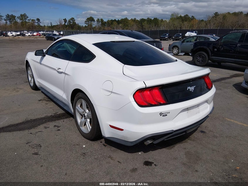 2019 Ford Mustang Ecoboost