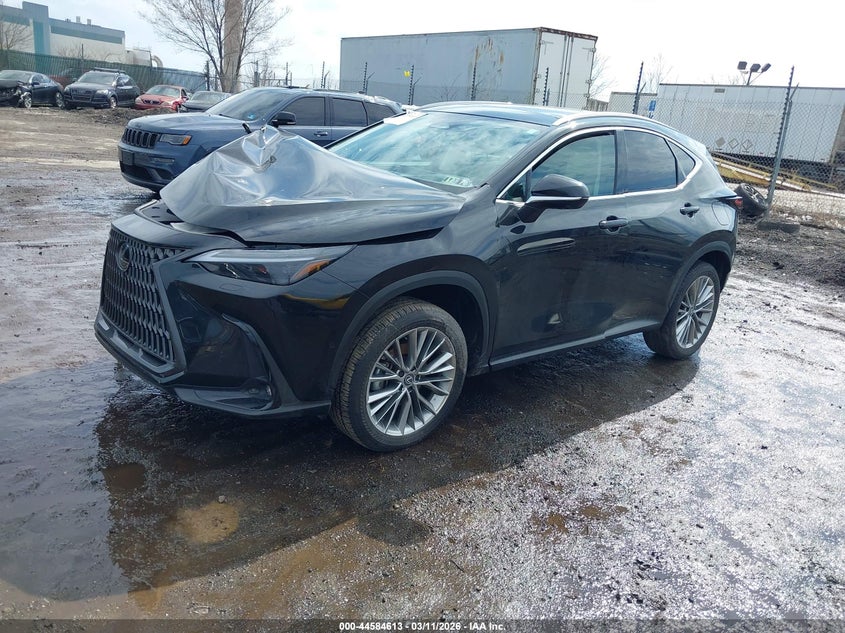 2026 Lexus Nx 350 Luxury